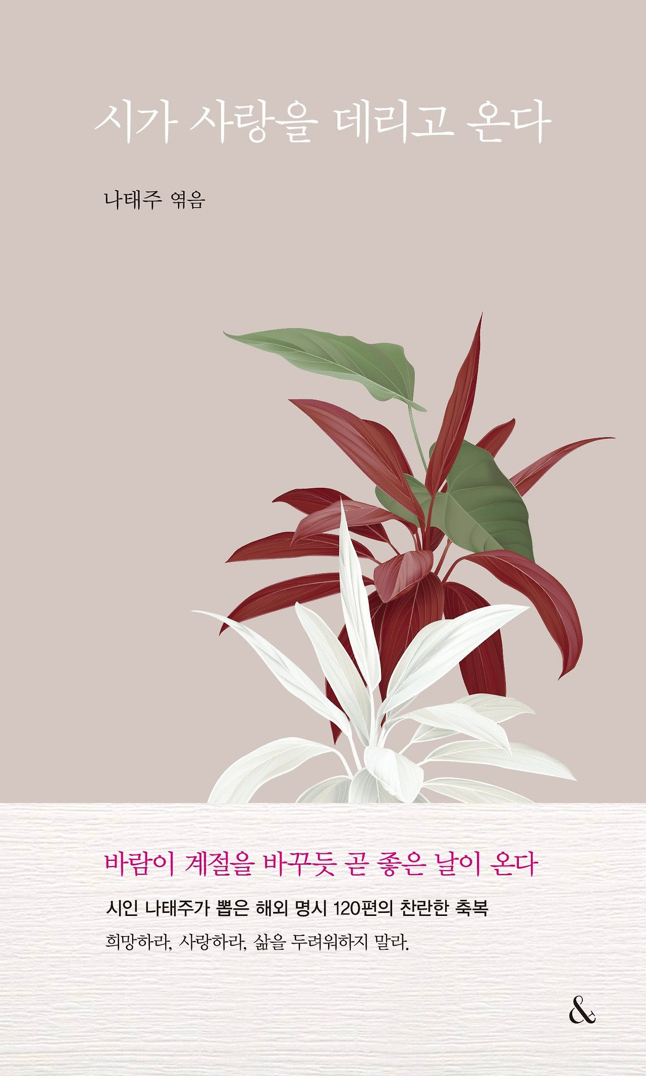 표지 평면 이미지.jpg