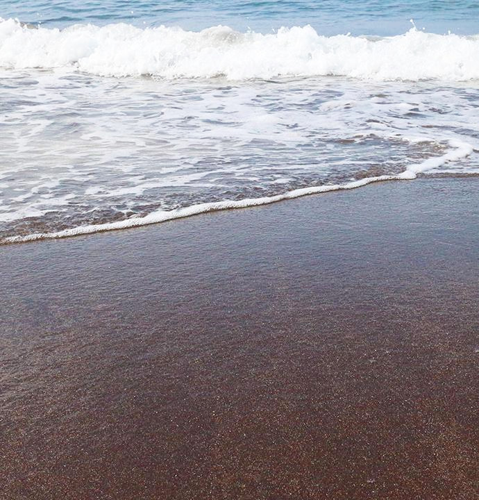 main_690x720 (2).jpg