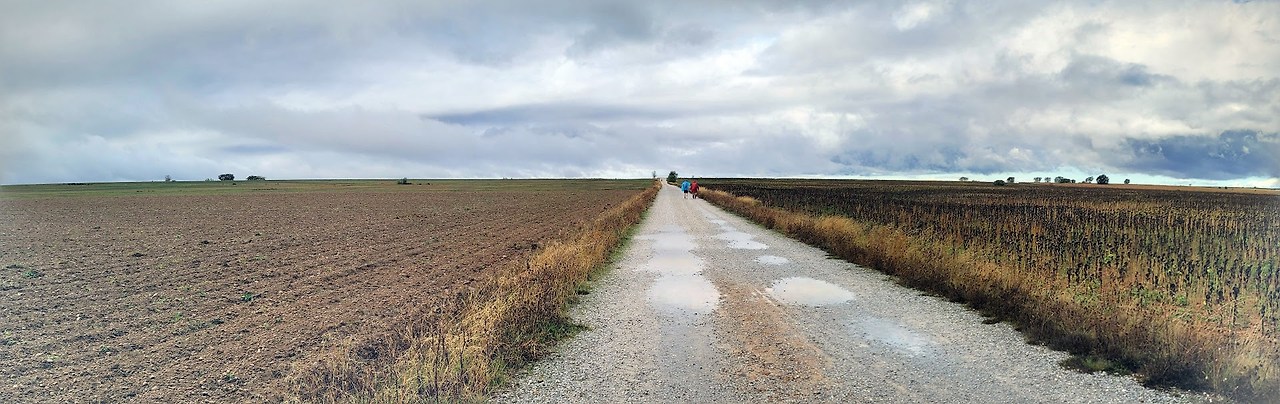 14-1.비 오던 날.jpg