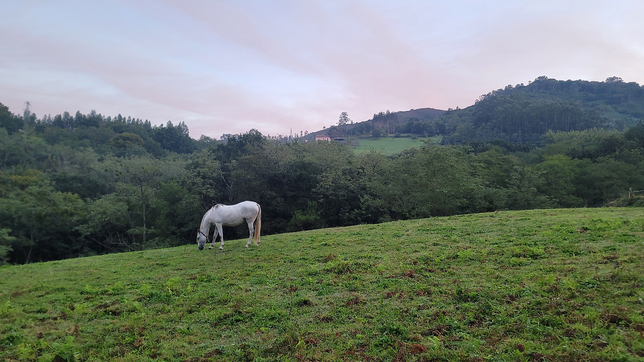 19.평화로운 산촌.jpg