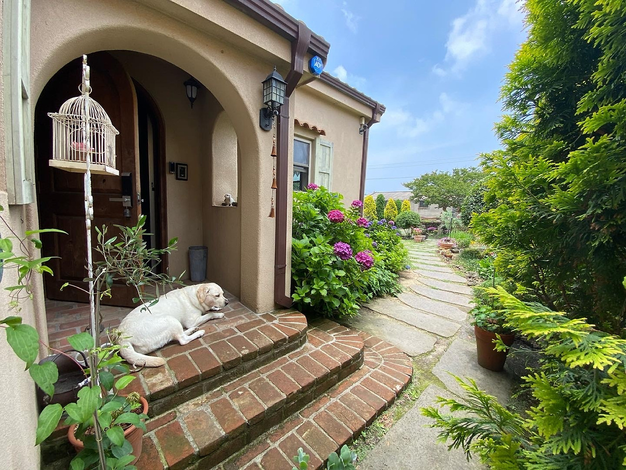 책방지기의 반려견 대운이_이보경.jpg