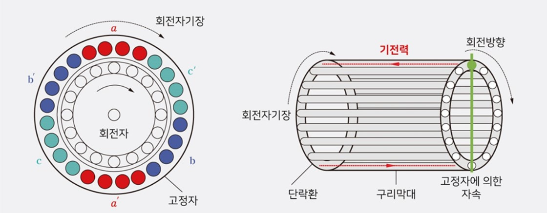 모터의 회전력 발생 원리.jpg