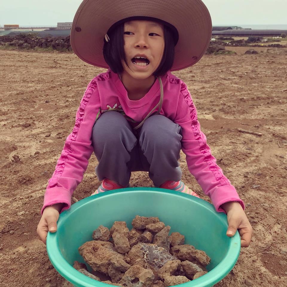 역시 제주는 돌밭이다..jpg