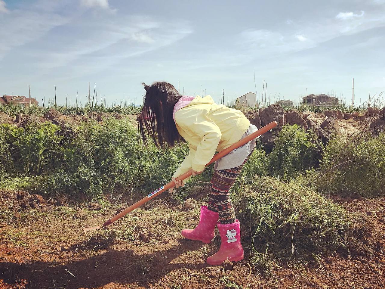 뽀뇨가 흙에 있는 살갈퀴 잔해들을 농기구 갈퀴로 골라내고 있다..jpg