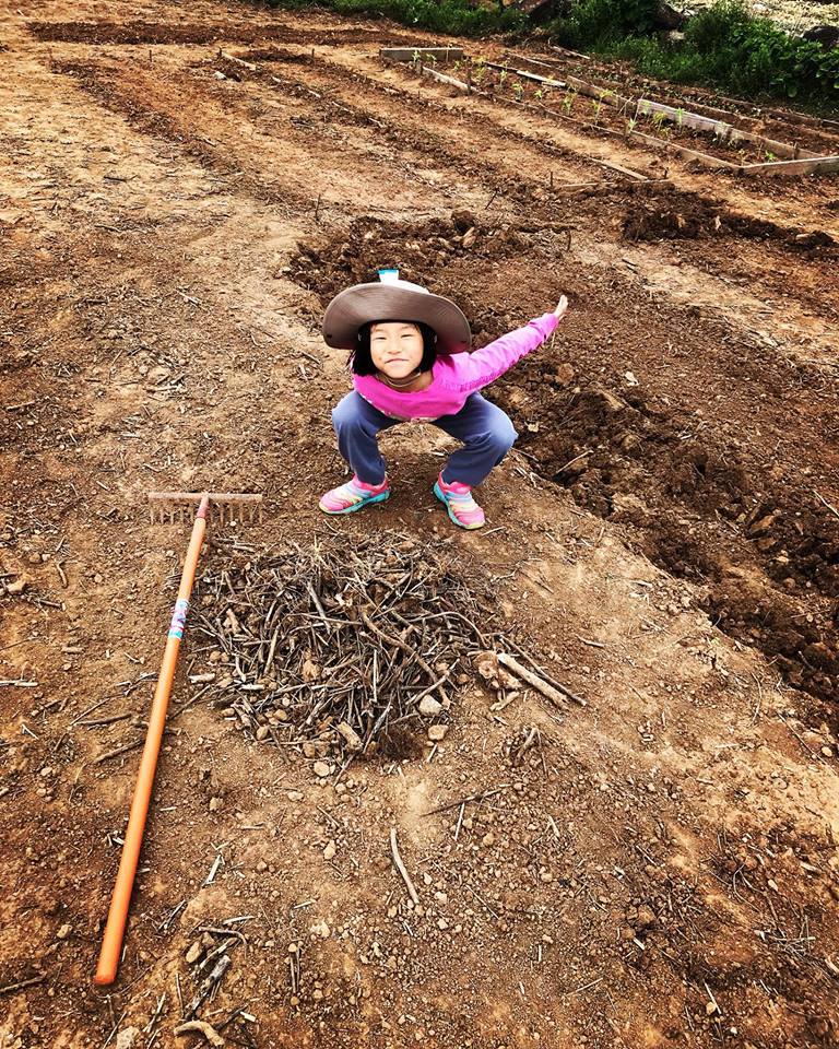 돌과 가지를 한곳에 모으고 기뻐하는 뽀뇨.jpg