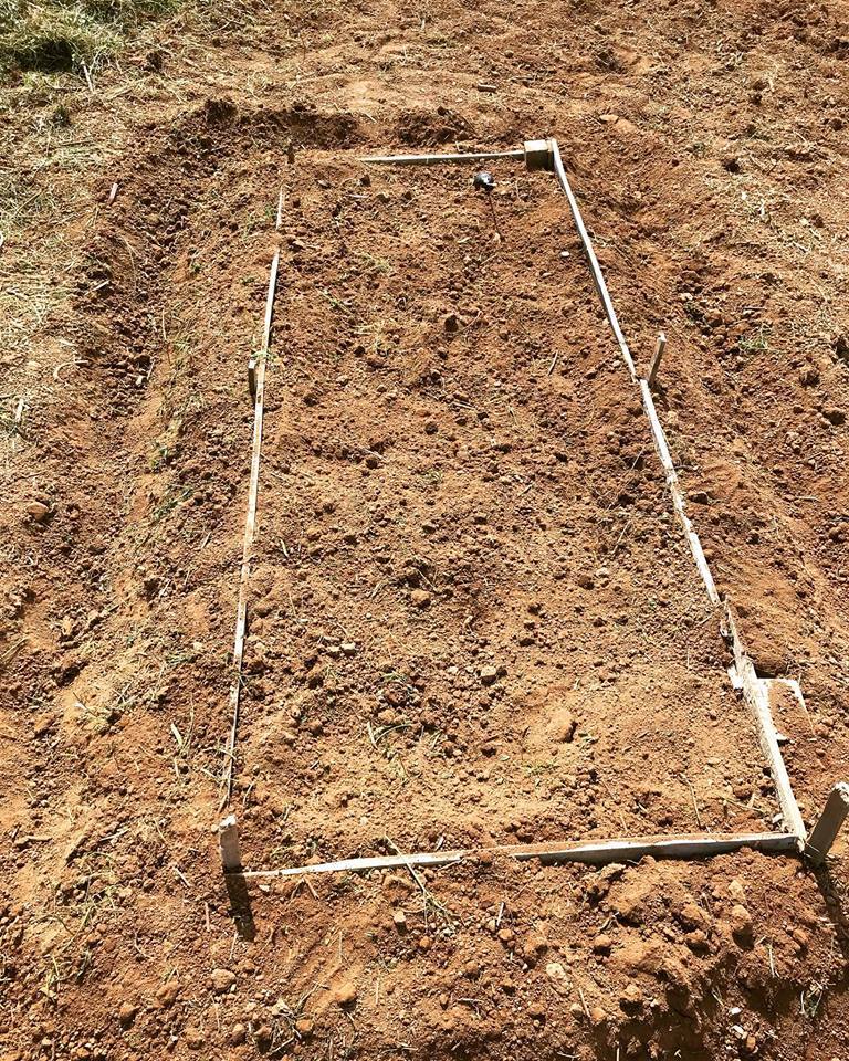 나무 빠레트를 분리하여 텃밭 구획하는 틀로 재활용했다..jpg