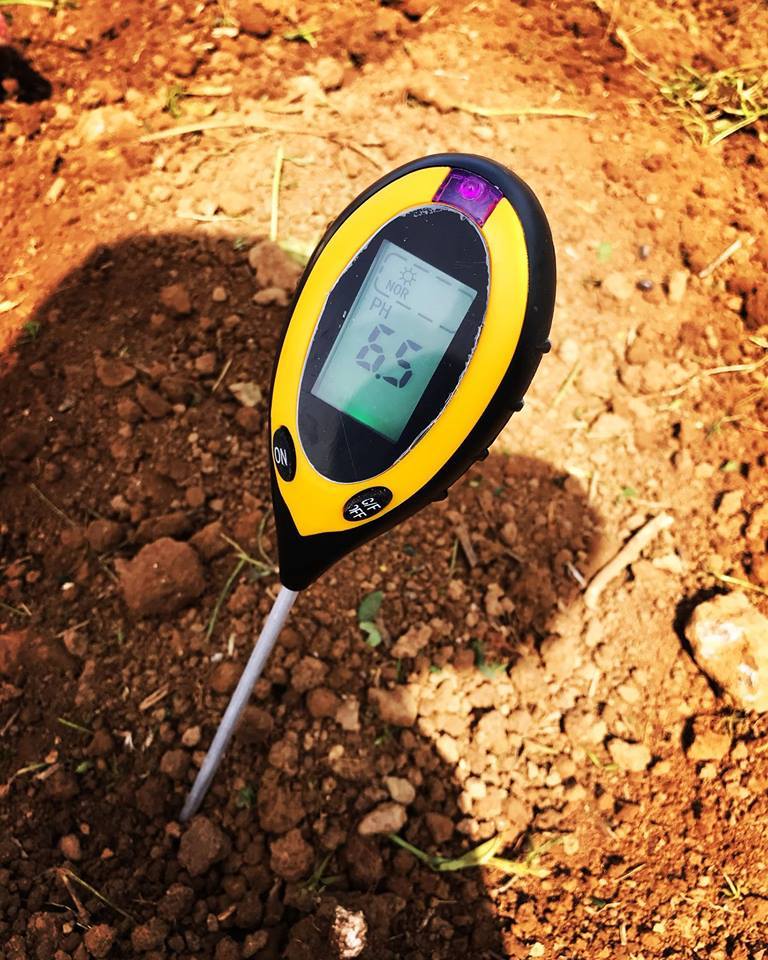 산도 측정기.jpg