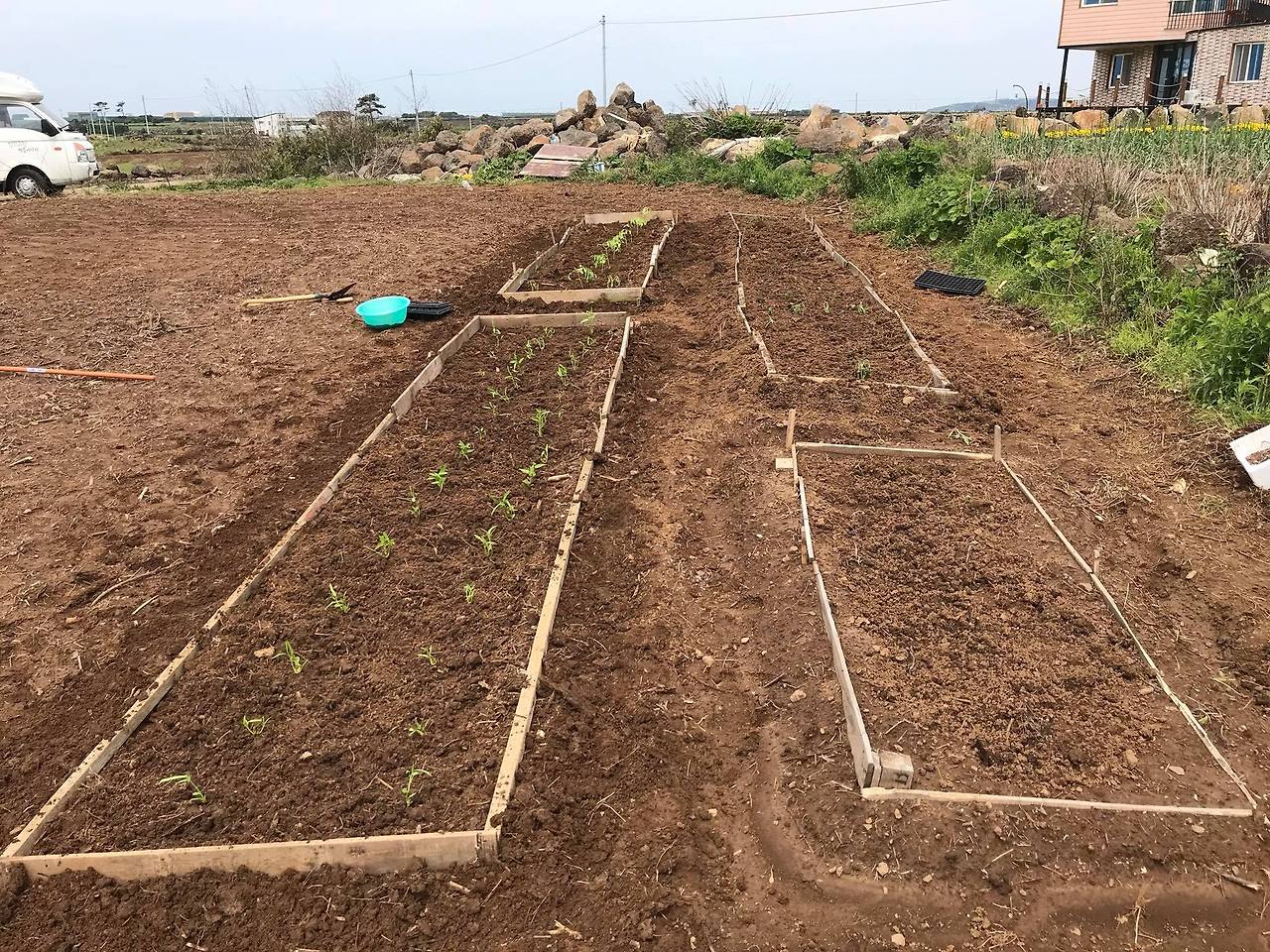 틀두둑을 계속 만들고 있다.jpg