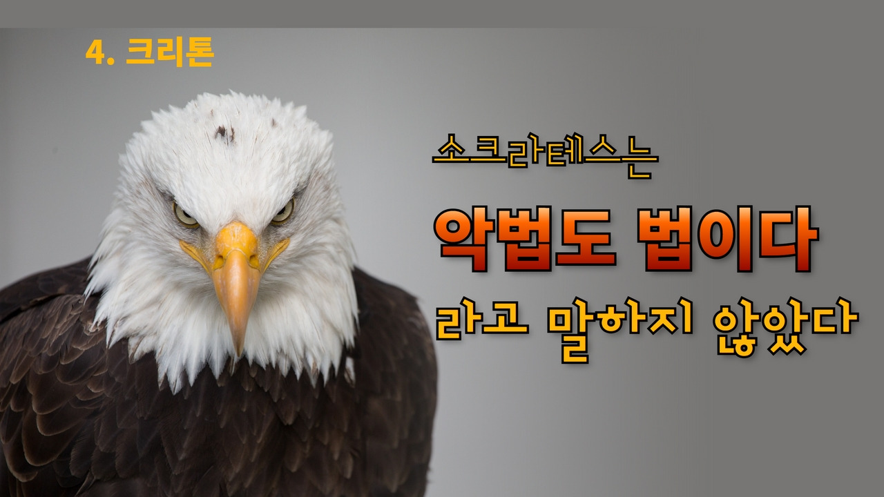 유튜브철학썸넬 (1).jpg