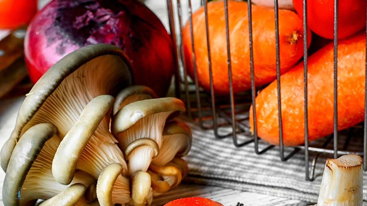 제목을 입력하세요 (32).jpg