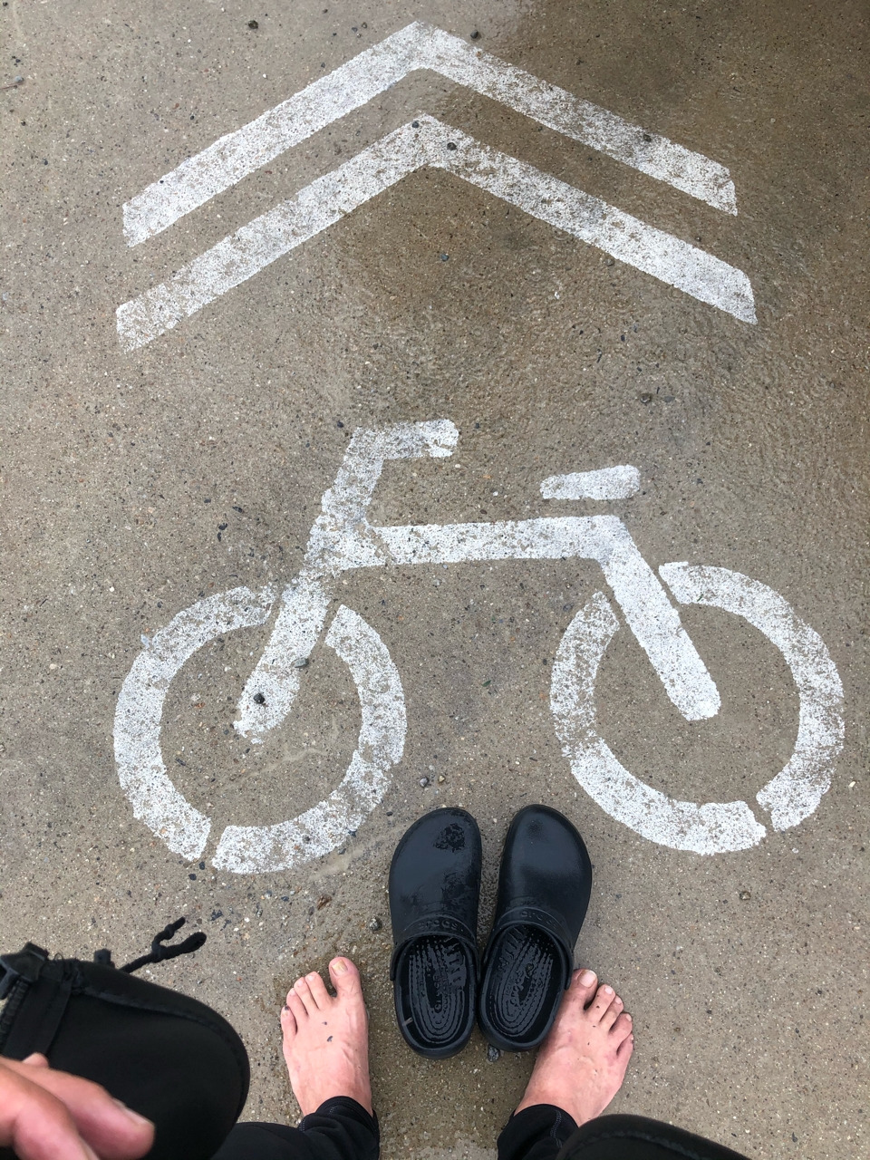 externalFile (5).jpg