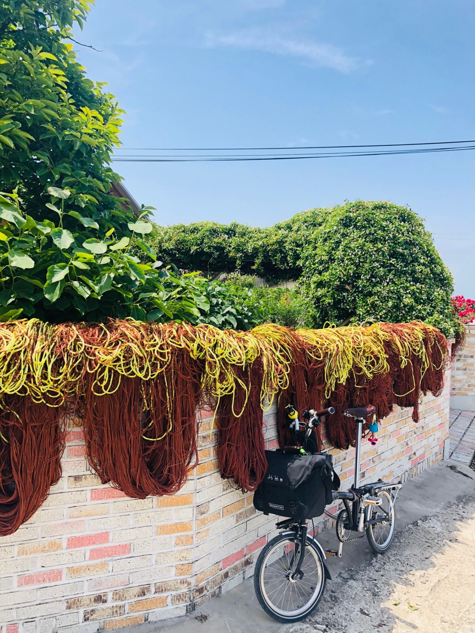 externalFile (21).jpg