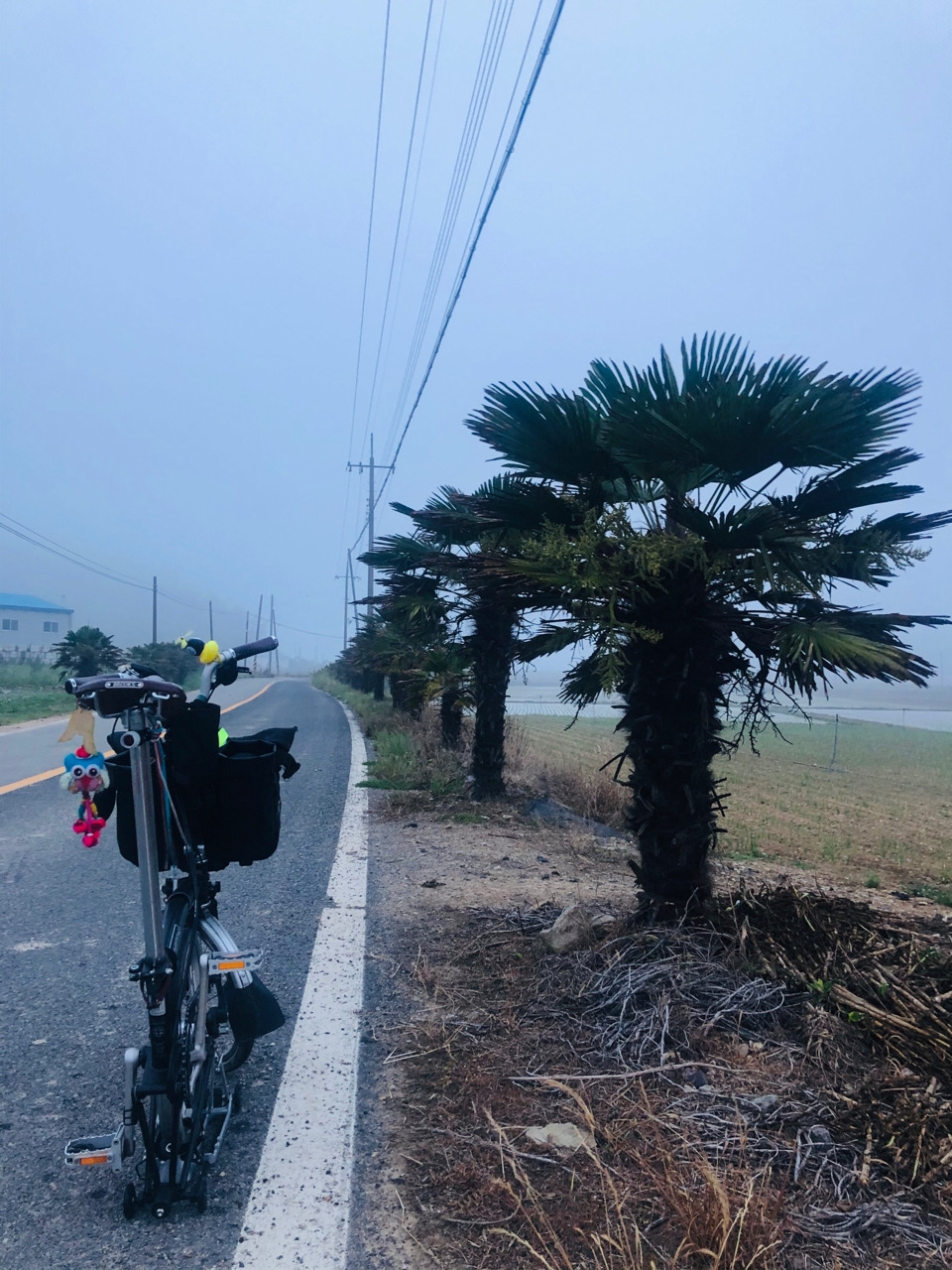 externalFile (5).jpg