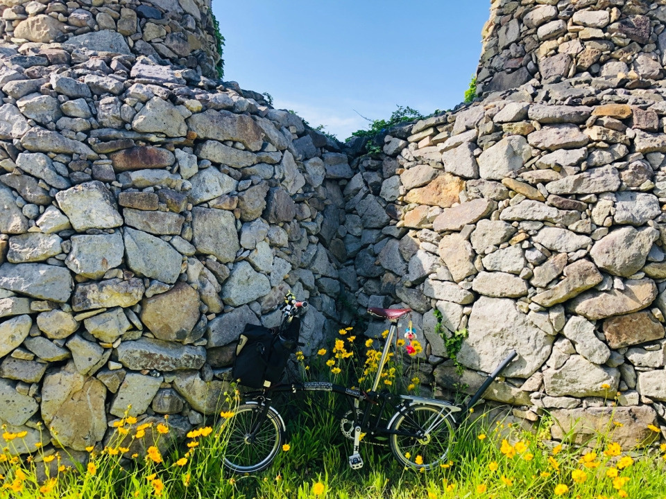 externalFile (8).jpg