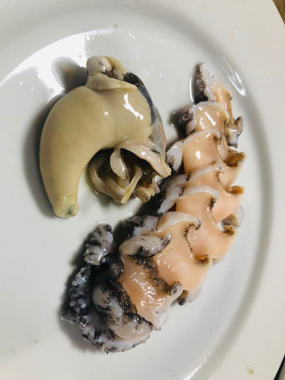 externalFile (10).jpg