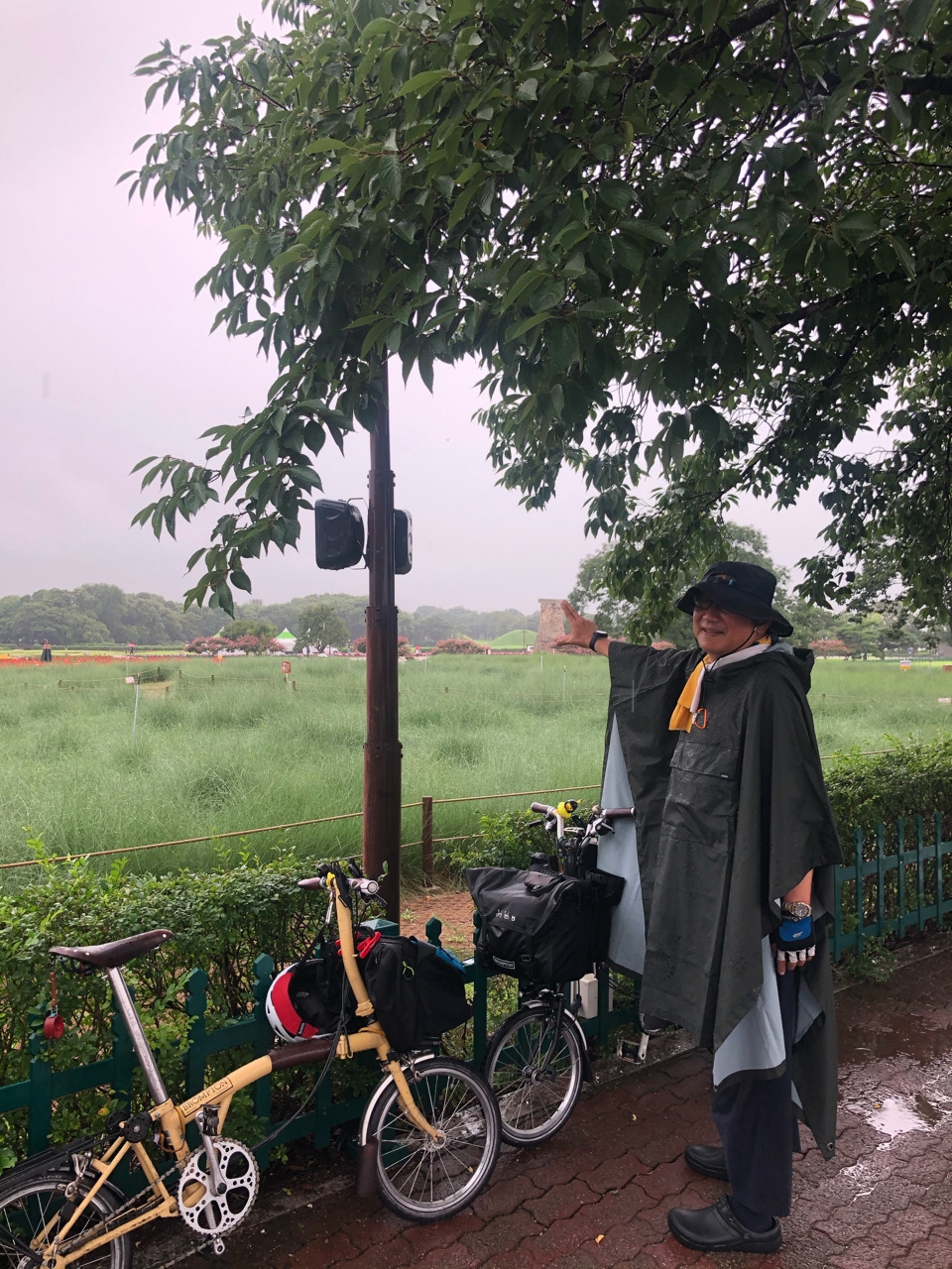 externalFile (7).jpg