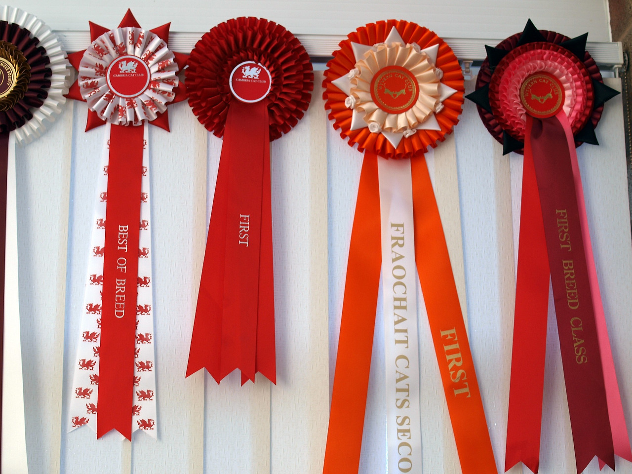 rosettes-2699899_1920.jpg
