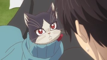 귀여운 고양이.jpg