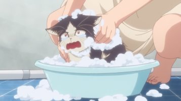 목욕은 싫어.jpg