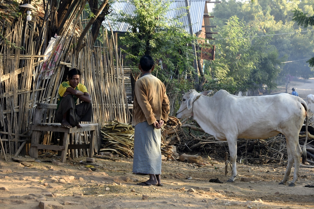 20150104바간 양곤069.jpg