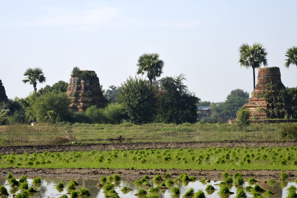 20141229만델레이 잉와왕국037.jpg