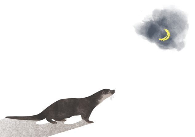 수달 0720.jpg