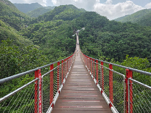 출렁다리위.jpg