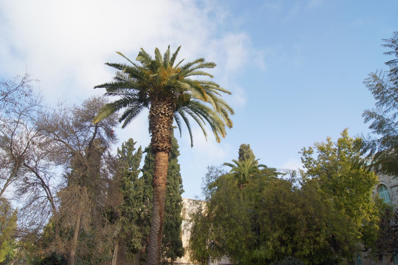 신혼부부교구-전체 사진-8494046132.jpg