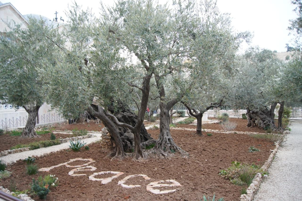 신혼부부교구-전체 사진-8521425283.jpg