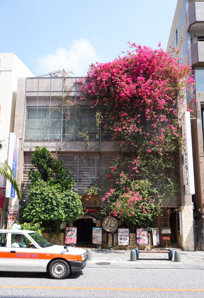 오키나와여행, 일상에세이, 공감에세이, 오키나와, 나하공항, 오키나와계절.jpg