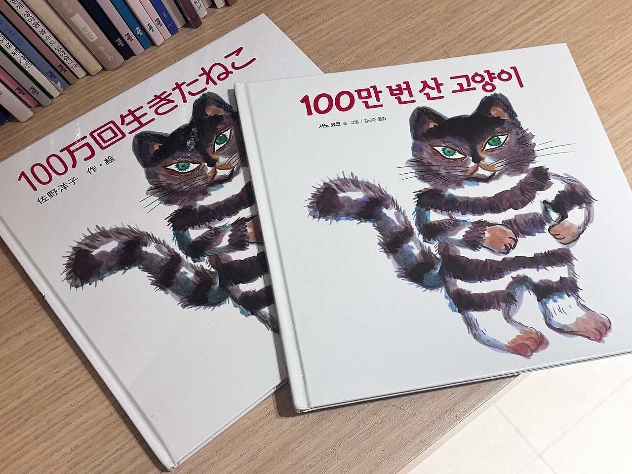 100만 년 산 고양이.jpg