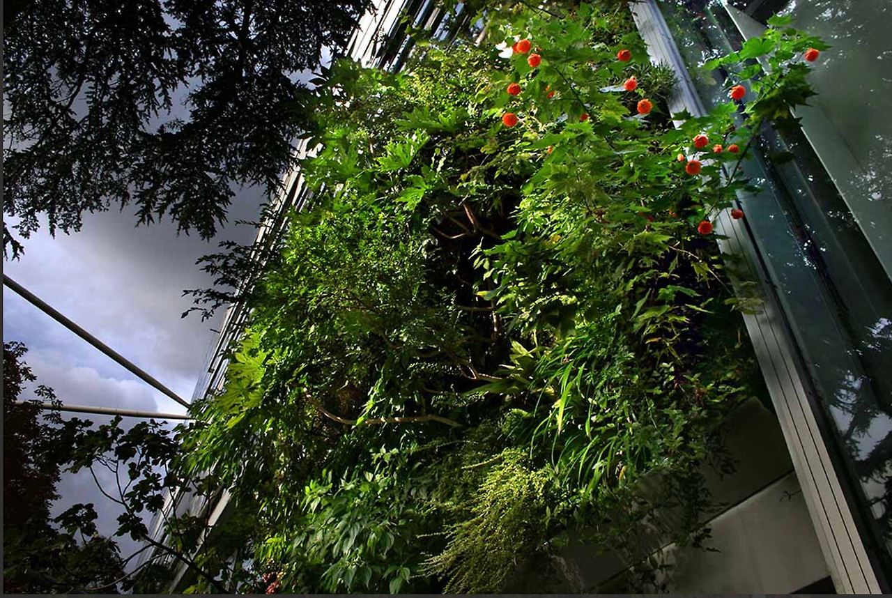 verticalgardenbypatrickblancatthecartierfoundationwithfloweringabutilonparismay2008photoveroniquelal.jpg