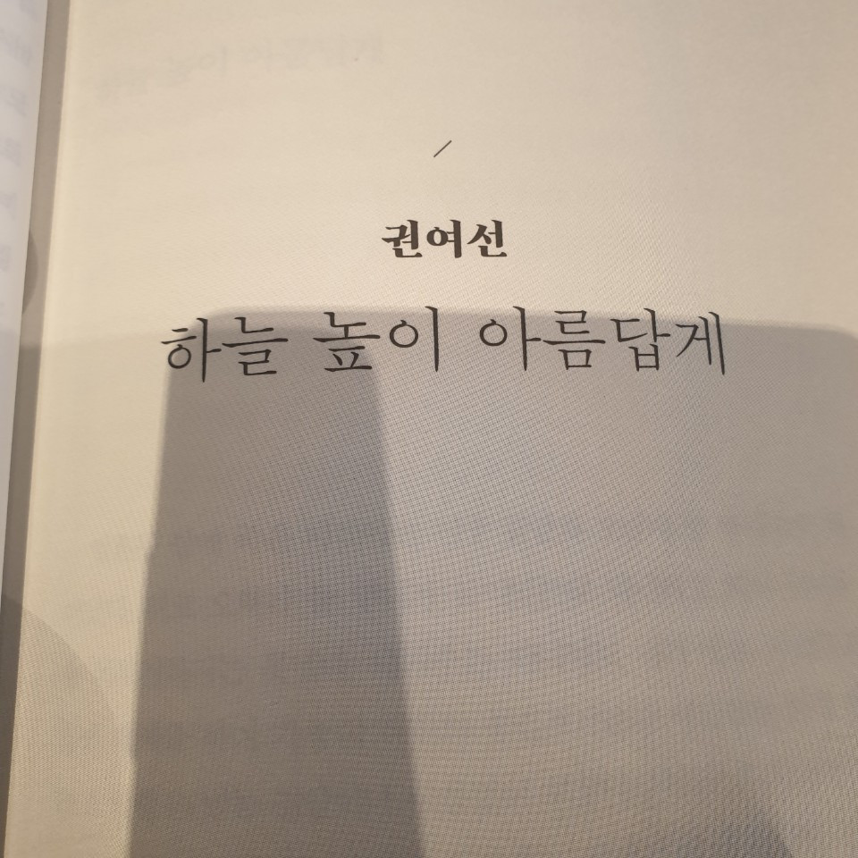 하늘 높이 아름답게.jpg