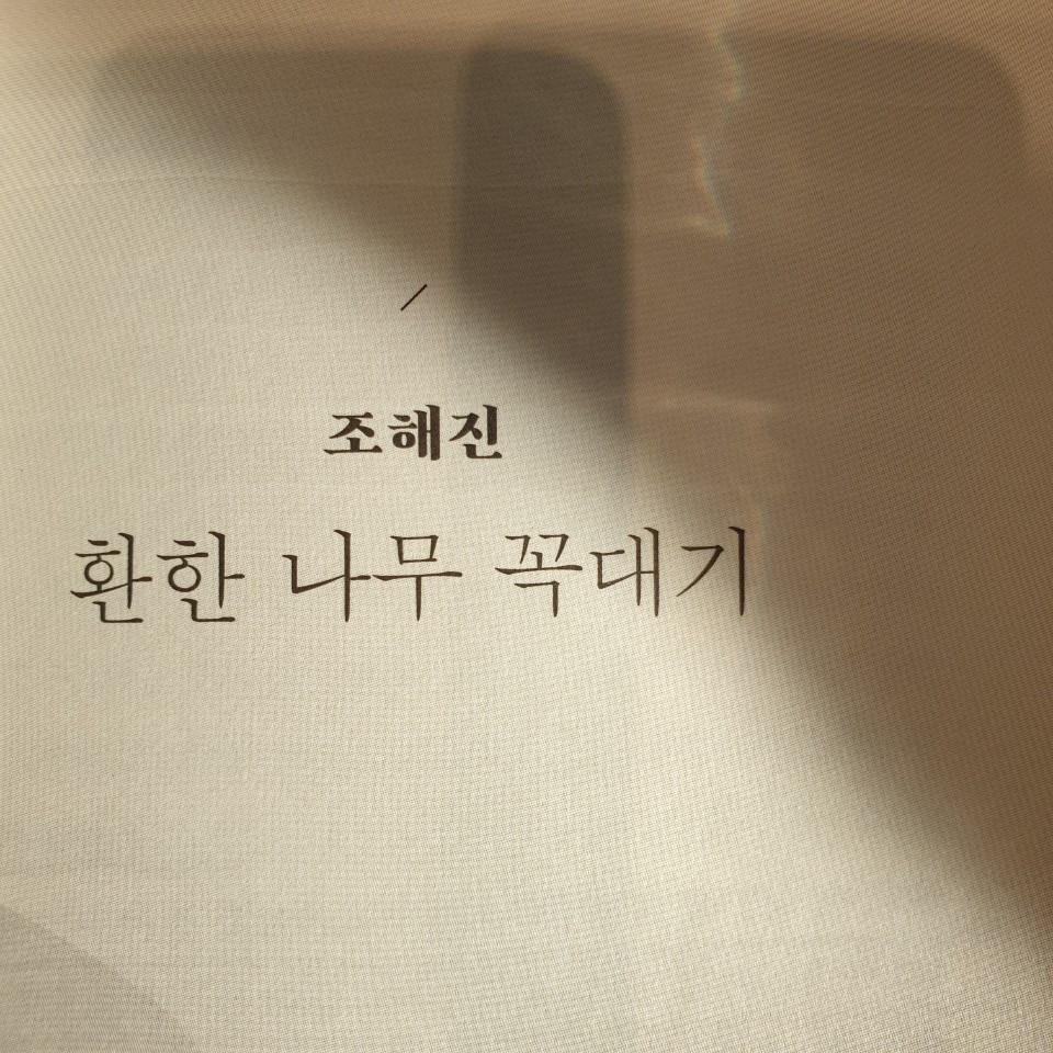환한 나무 꼭대기.jpg