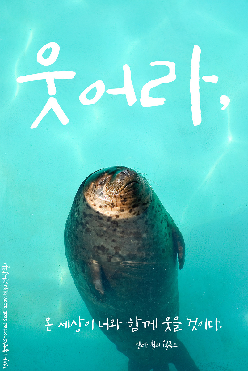 점박이물범(Spotted-Seal)by_Biduri_kenoop.blog.me.jpg