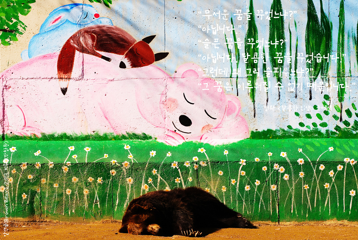 갈색곰(Brown Bear)by_Biduri_kenoop.blog.me.jpg