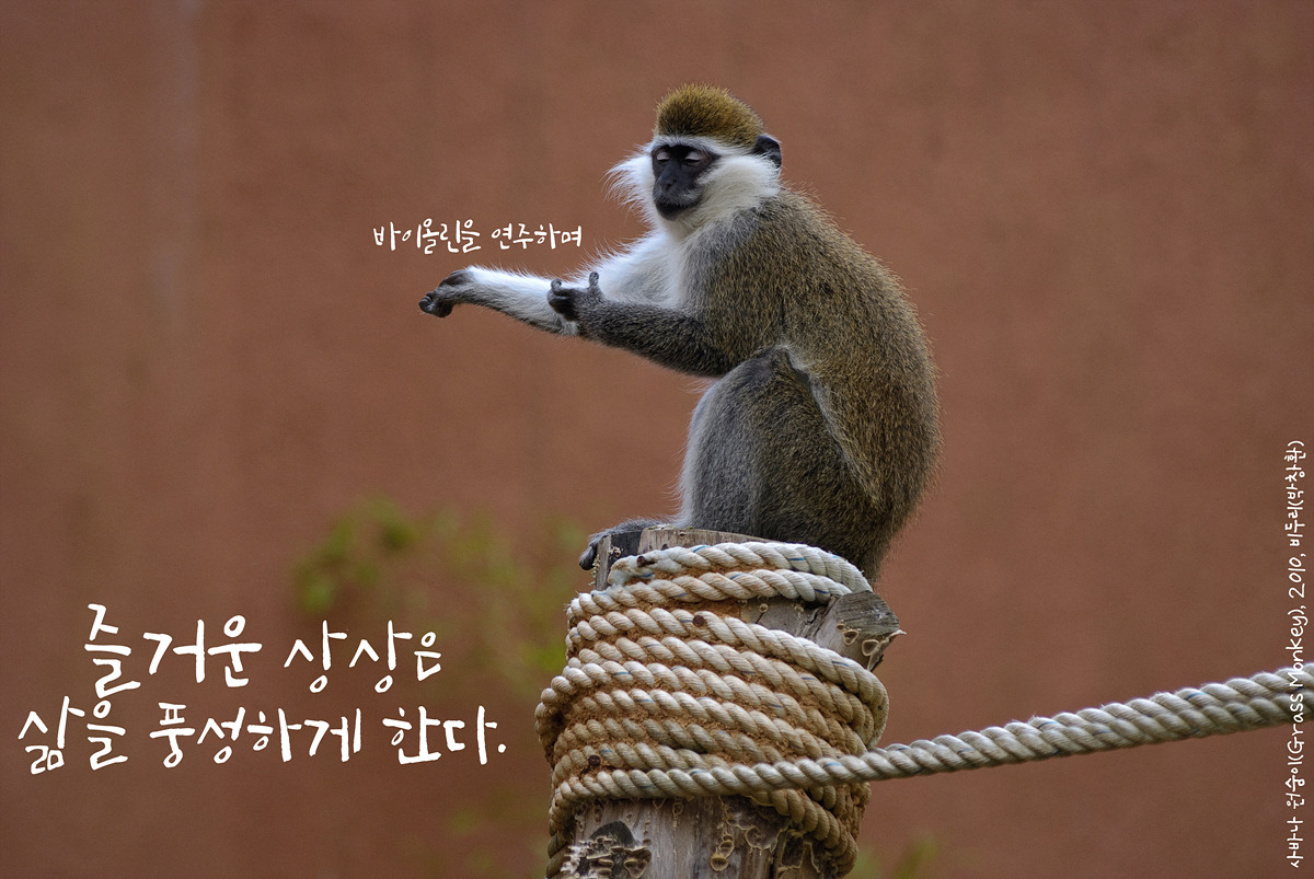사바나 원숭이(Grass Monkey)by_Biduri_kenoop.blog.me.jpg