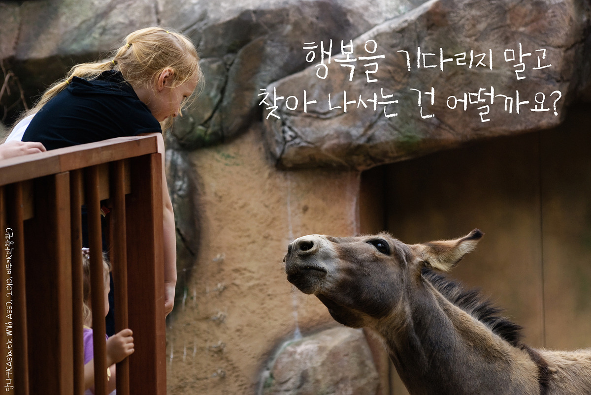 당나귀(Asiatic Wild Ass)by_Biduri_kenoop.blog.me.jpg