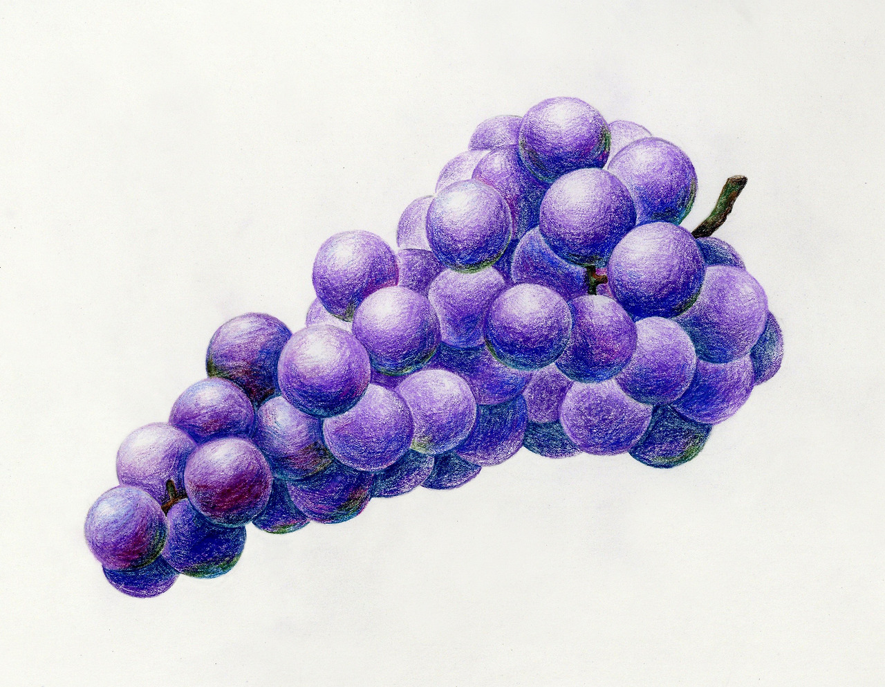 포도.jpg