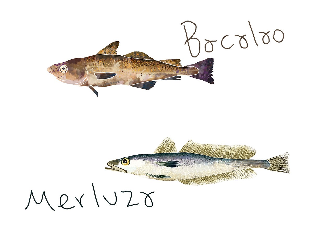 bacalaomerluza.jpg