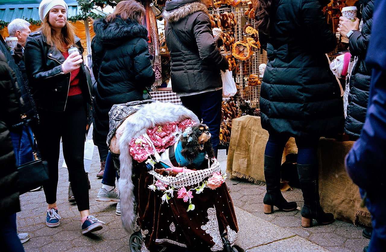 공주 유모차0.jpg