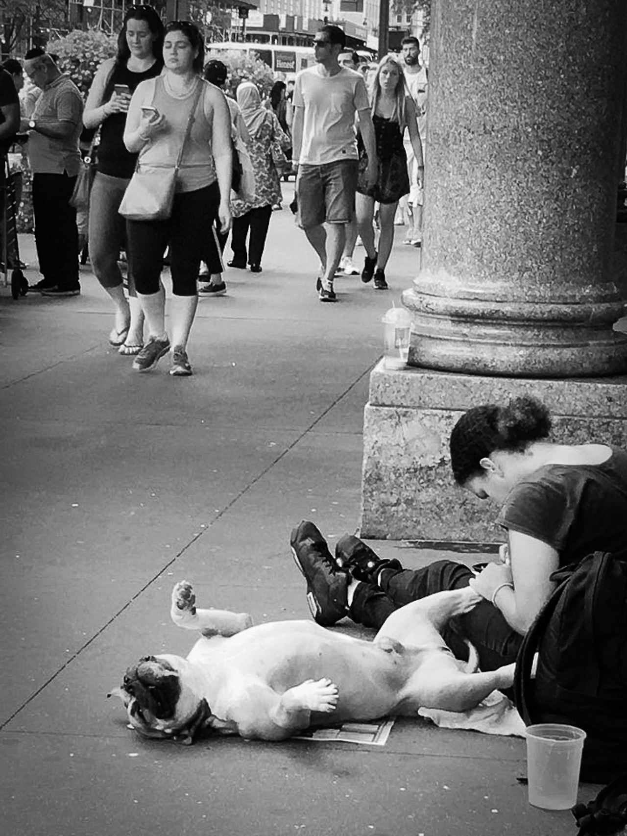 20170905-펫찌 사진_모리11.jpg