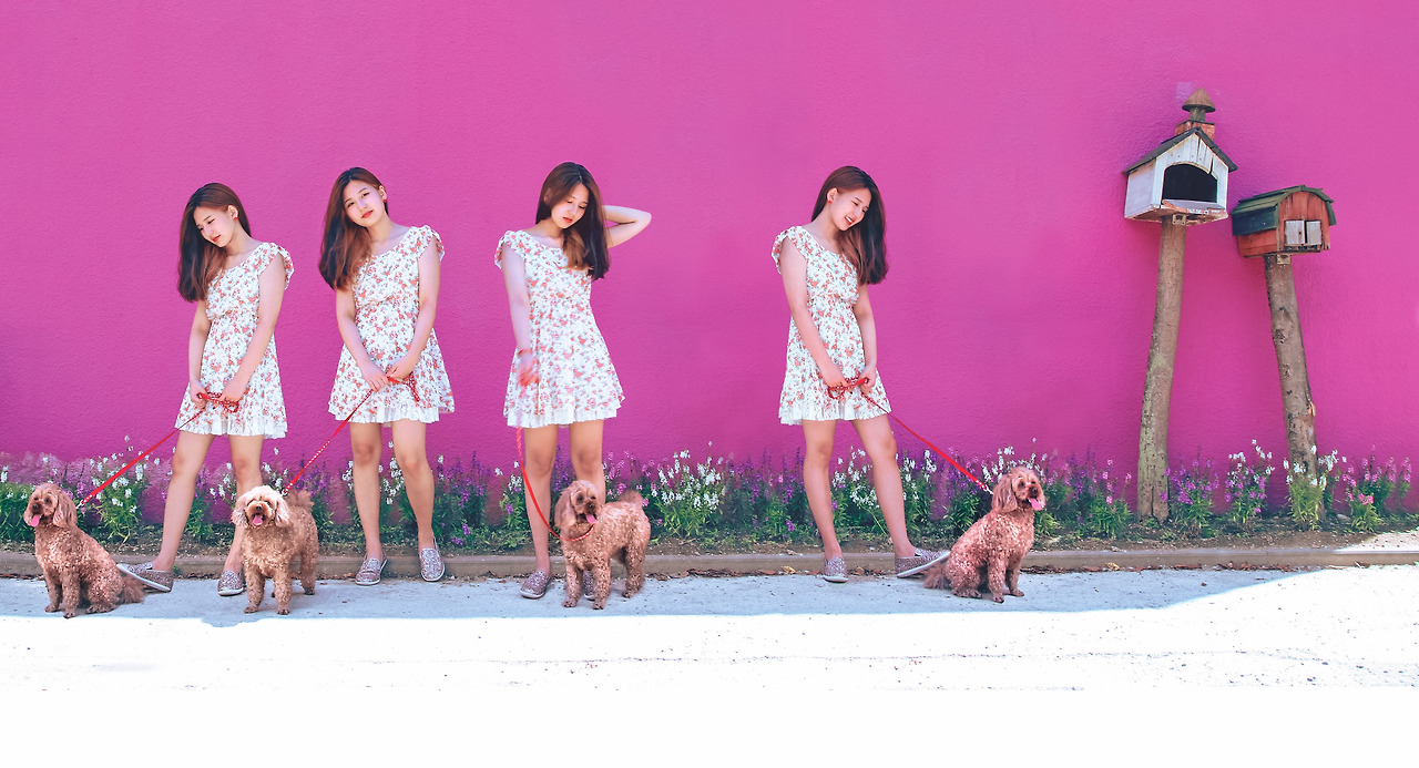 포폴1_다윤 세명.jpg