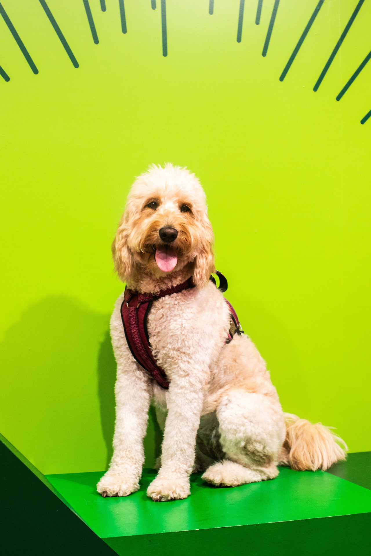 모리 사진8.jpg