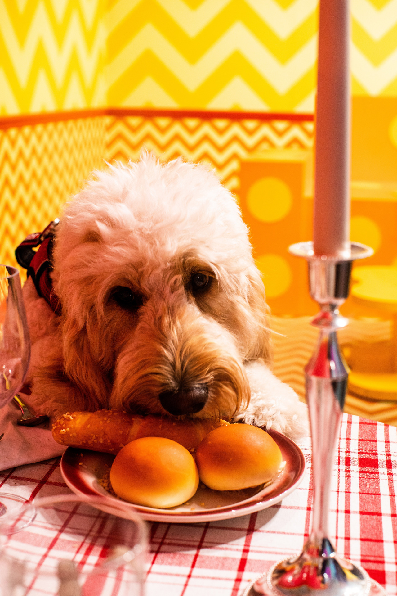 모리 사진3.jpg