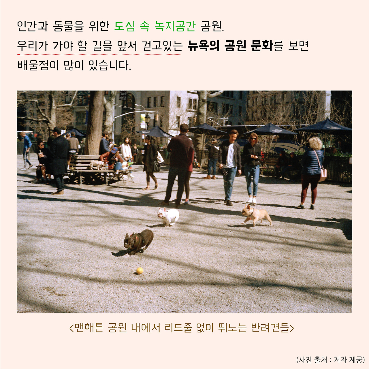 대지 1 사본 51.jpg