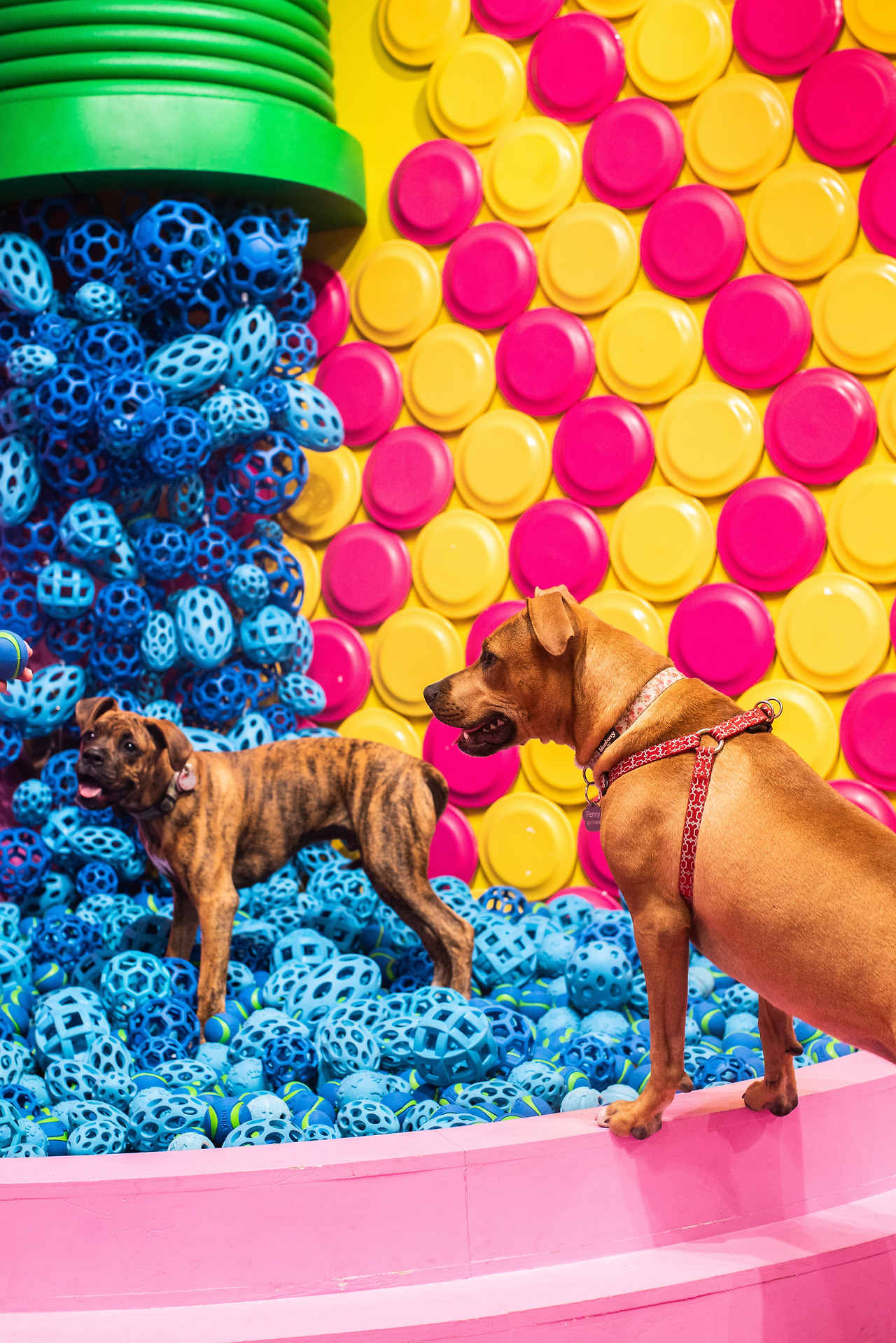 모리 사진9.jpg