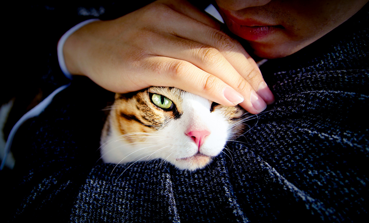 5월17일 (29).jpg