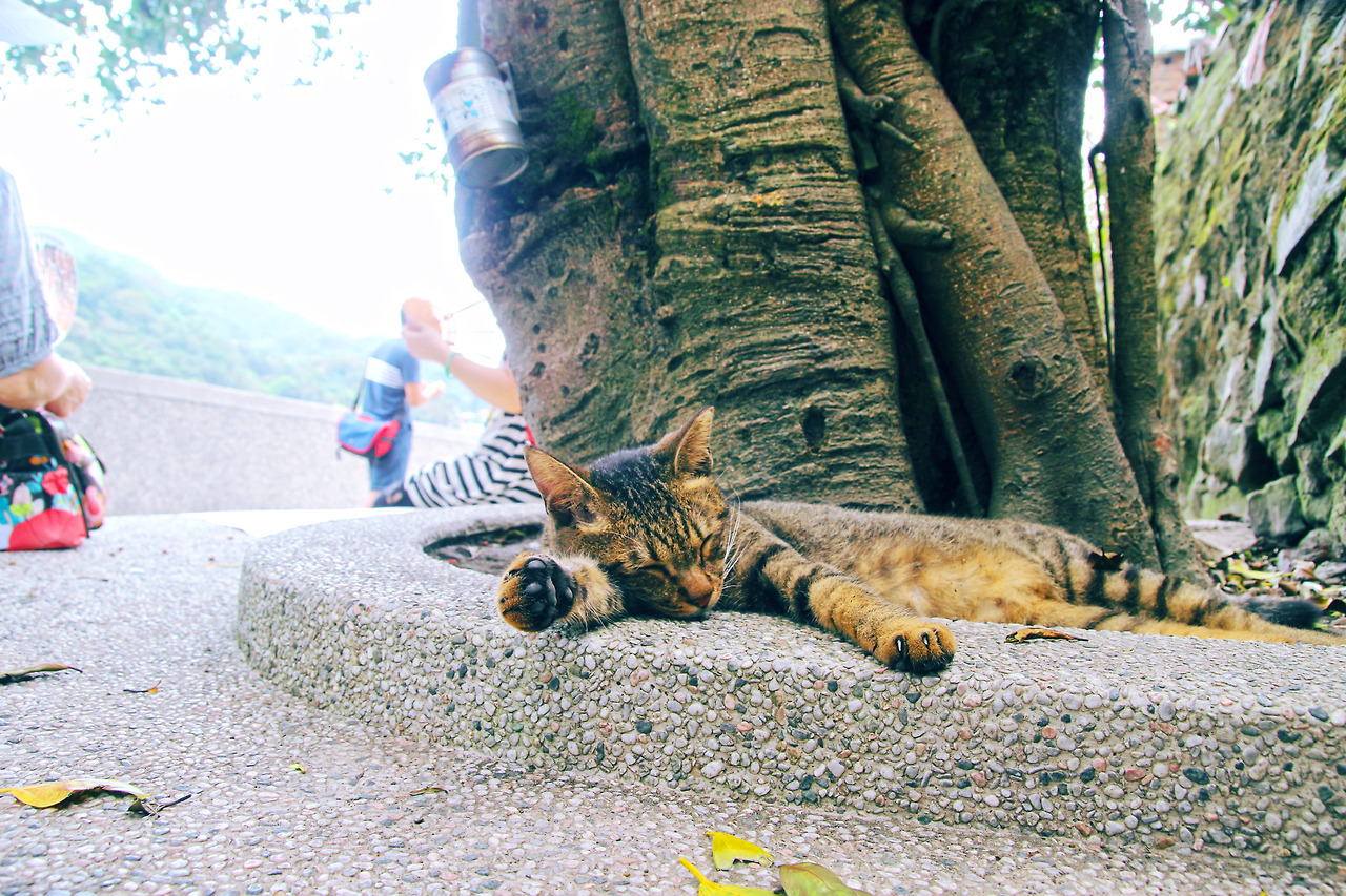 8월12일 (6).jpg