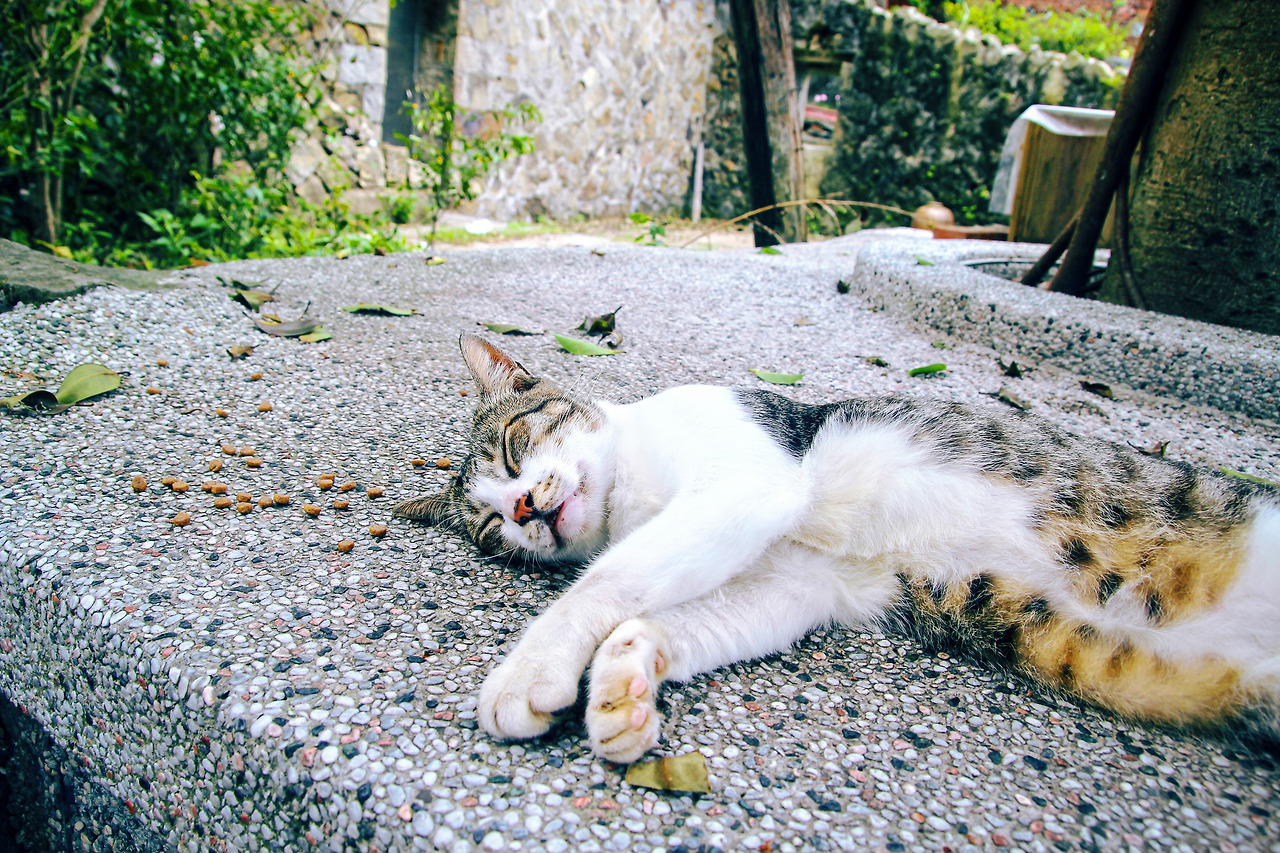 8월12일 (5)-2-2.jpg